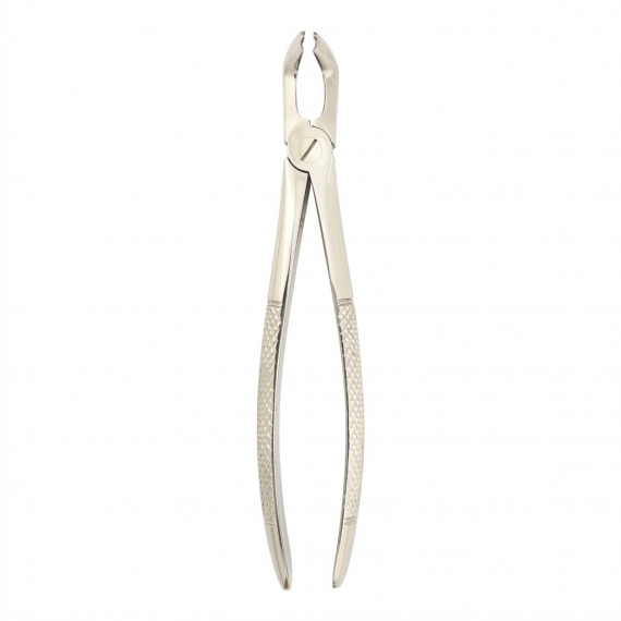 Berten FIG-79 Forceps Lower Wisdom Tooth